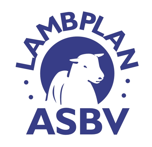 LambplanASBV300dpi