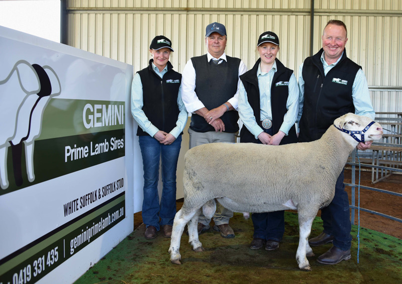 GEMINI-PRIME-LAMB-SIRES-MEDIA-RELEASE---October-Ram-Sale-2021 GEMINI-PRIME-LAMB-SIRES-MEDIA-RELEASE---October-Ram-Sale-2021