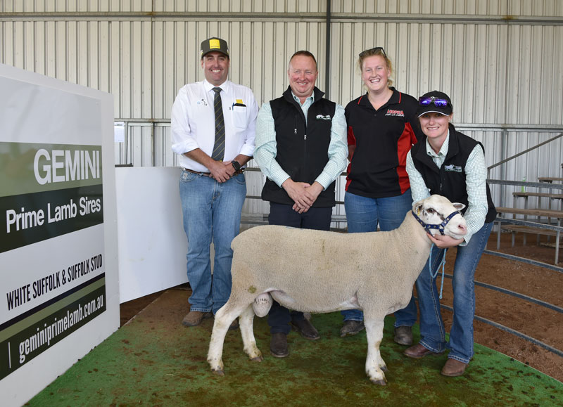 Gemini-Prime-Lamb-Sires-Top-Priced-Ram-Feb-2022(1)